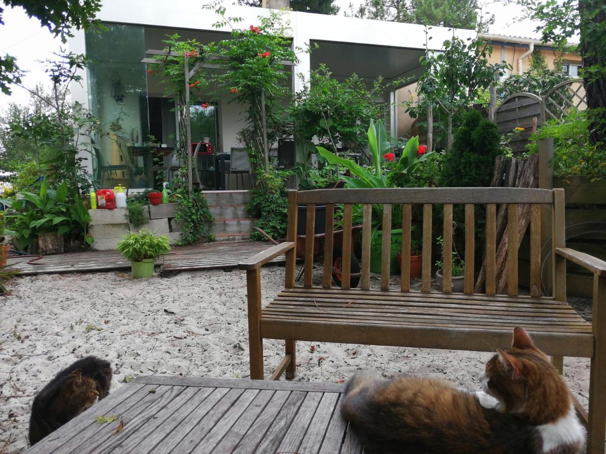 Lège-Cap-FerretLe Relais De La Praya住宿加早餐旅馆 外观 照片