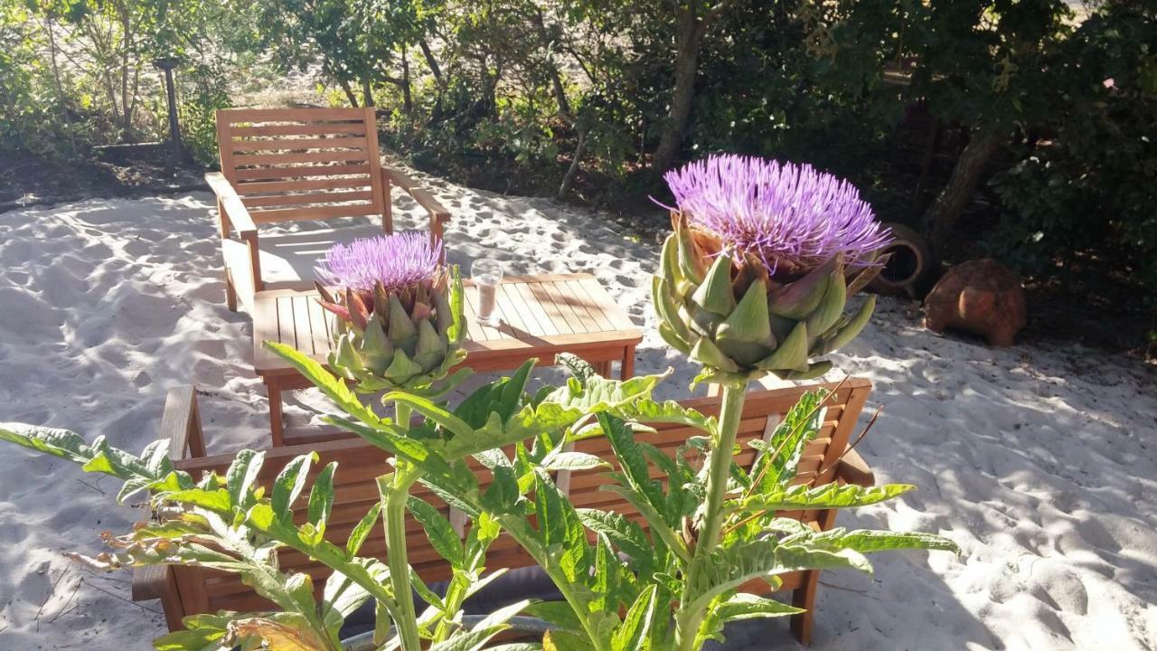 Lège-Cap-FerretLe Relais De La Praya住宿加早餐旅馆 外观 照片